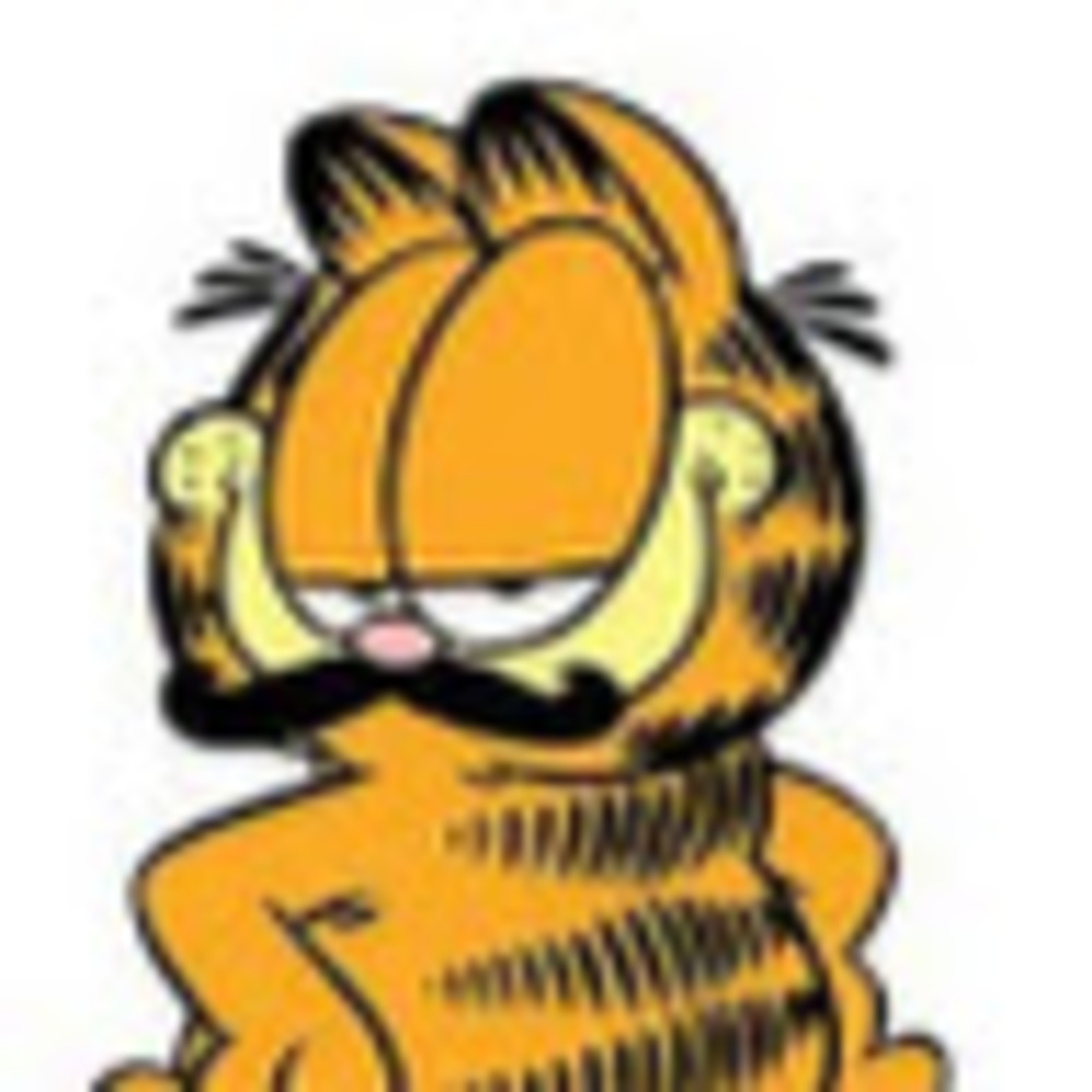 Meet your Posher, Robin